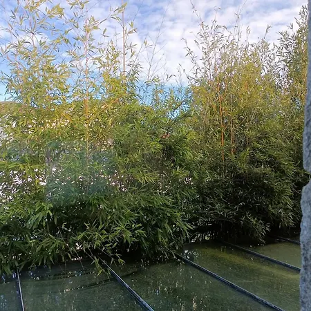 Casa Capelas 2* Villamarin (Ourense)