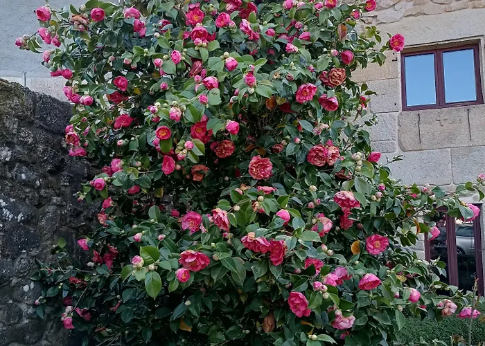 Casa Capelas Hotel 2*